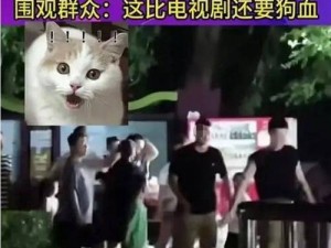 交换游戏陈婷张超李珊王建：刺激心跳的四人情感互动游戏