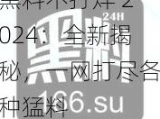 黑料不打烊 2024：全新揭秘，一网打尽各种猛料