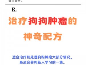 探索人狗胶配方大全免费天气预报，专业配方，助你轻松养狗