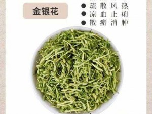 极致沉迷 TXL 金银花：清热解毒的天然饮品，富含维生素和抗氧化剂，口感甘醇，适合各年龄段人群