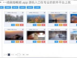 成品短视频 app 源码入口在专业的软件平台上找