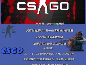 暴躁老阿姨的 CSGO 秘籍：提升实力的秘密武器