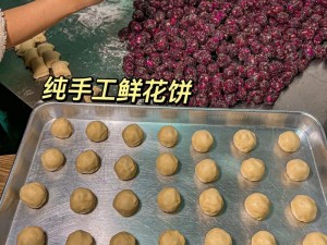 梦幻秘制：妄想山海鲜花饼的制作方法解析