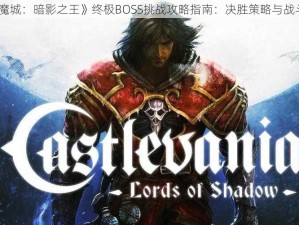 《恶魔城：暗影之王》终极BOSS挑战攻略指南：决胜策略与战斗技巧