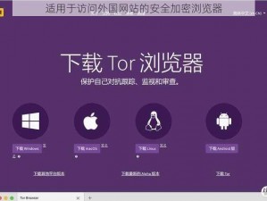 适用于访问外国网站的安全加密浏览器