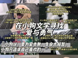 小狗今天草到主人了吗小说：一款集恋爱、养成、模拟经营等多种元素于一体的手机游戏