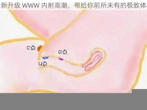 全新升级 WWW 内射高潮，带给你前所未有的极致体验