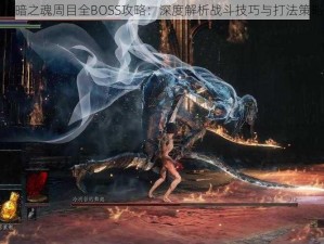 黑暗之魂周目全BOSS攻略：深度解析战斗技巧与打法策略