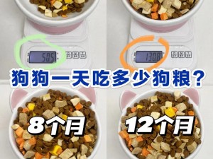 人狗胶配方大全：狗狗一天吃多少？这款产品可以帮助狗狗补充营养，增强体质