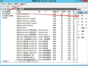 中国大肥胖 VPSWINDOWS 专业虚拟专用服务器，为用户提供安全、稳定、高速的网络服务