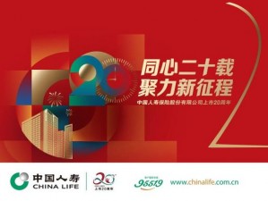 CHINAIN20YEARS，助力中国企业发展 20 年