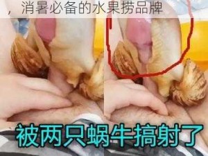 51fun吃瓜网热心群众张炳力荐，消暑必备的水果捞品牌