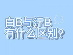 B 与 B 不同区别，带来全新体验