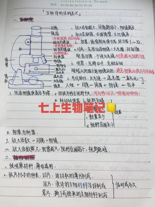 生物老师的神奇课堂：亲自展示生物的奥秘