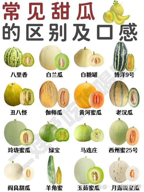 香蕉丝瓜草莓樱桃草莓榴莲，口感鲜美，营养丰富，是您健康生活的最佳选择