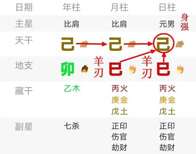 双虎联姻育幼仔，名字玄机藏字中探秘