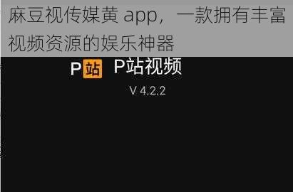 麻豆视传媒黄 app，一款拥有丰富视频资源的娱乐神器