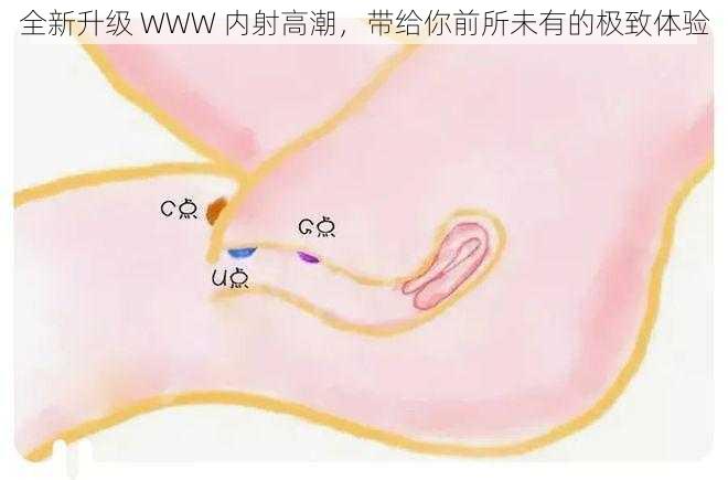 全新升级 WWW 内射高潮，带给你前所未有的极致体验