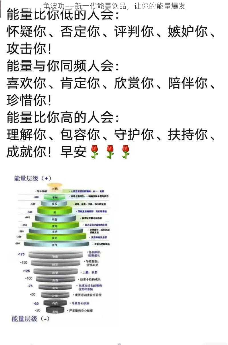 龟波功——新一代能量饮品，让你的能量爆发