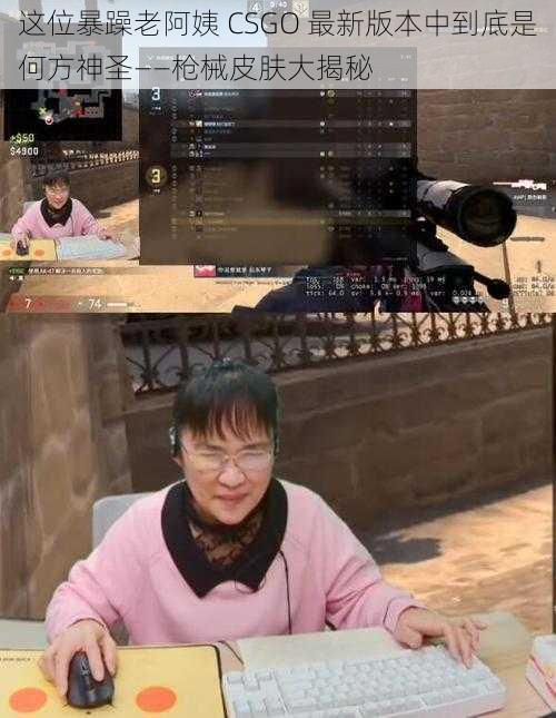 这位暴躁老阿姨 CSGO 最新版本中到底是何方神圣——枪械皮肤大揭秘