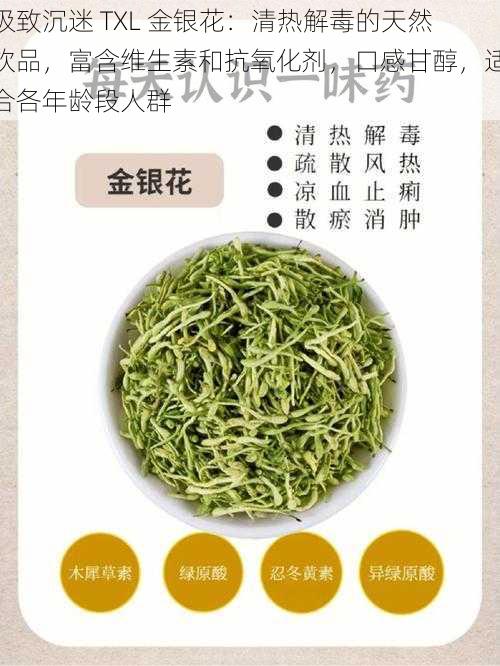 极致沉迷 TXL 金银花：清热解毒的天然饮品，富含维生素和抗氧化剂，口感甘醇，适合各年龄段人群