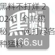 黑料不打烊 2024：全新揭秘，一网打尽各种猛料