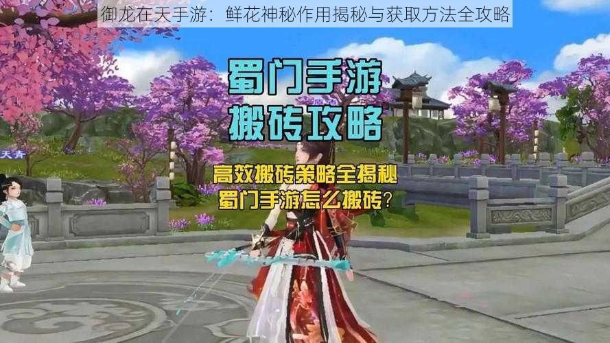 御龙在天手游：鲜花神秘作用揭秘与获取方法全攻略