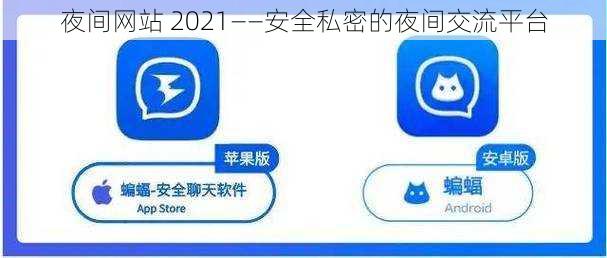 夜间网站 2021——安全私密的夜间交流平台