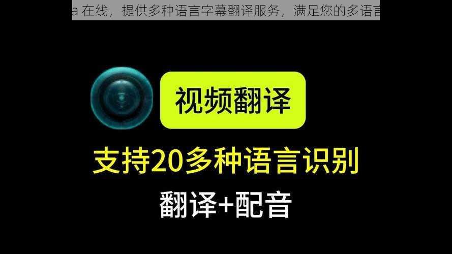 中文字幕 a 在线，提供多种语言字幕翻译服务，满足您的多语言视频需求