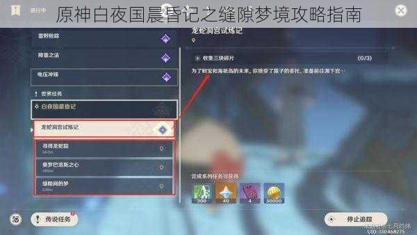 原神白夜国晨昏记之缝隙梦境攻略指南