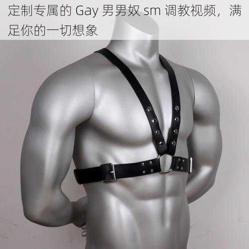 定制专属的 Gay 男男奴 sm 调教视频，满足你的一切想象