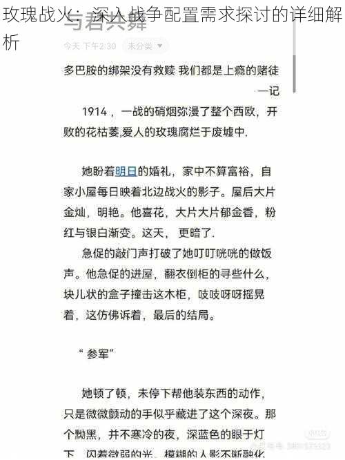 玫瑰战火：深入战争配置需求探讨的详细解析