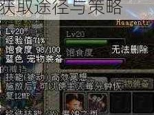 DNF手游哈艮地获取攻略：探索游戏内获取途径与策略