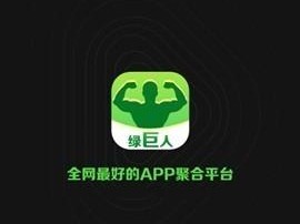 绿巨人聚合藏宝阁黑科技——一款强大的聚合工具，提供多种实用功能