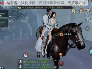 楚留香：轻松挂机，百万经验轻松得，无疲累之忧