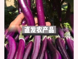 优质新鲜茄子屁股，无套直供，口感鲜美