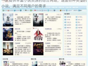 一款提供丰富小说资源的综合网站，涵盖各种类型的小说，满足不同用户的需求