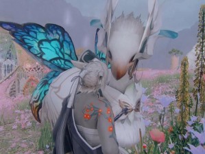 FF14陆行鸟竞速全解析：赛事风采与竞赛介绍