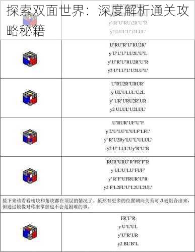 探索双面世界：深度解析通关攻略秘籍