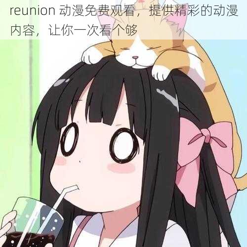 reunion 动漫免费观看，提供精彩的动漫内容，让你一次看个够