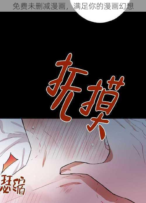 免费未删减漫画，满足你的漫画幻想