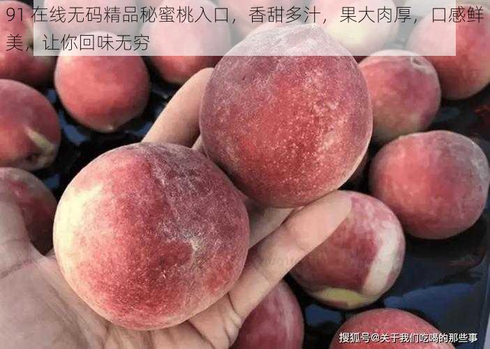 91 在线无码精品秘蜜桃入口，香甜多汁，果大肉厚，口感鲜美，让你回味无穷