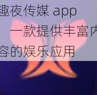 趣夜传媒 app：一款提供丰富内容的娱乐应用