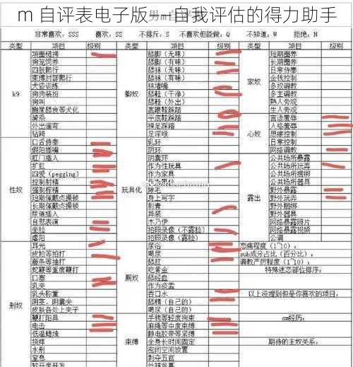 m 自评表电子版——自我评估的得力助手