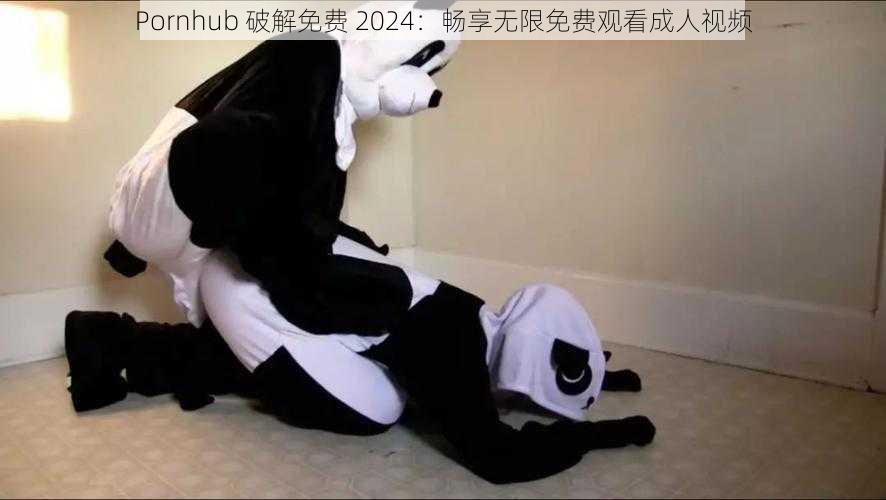 Pornhub 破解免费 2024：畅享无限免费观看成人视频