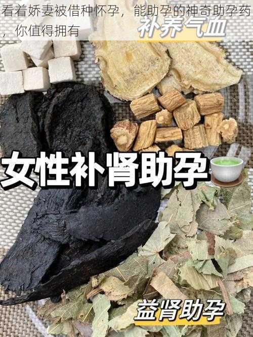 看着娇妻被借种怀孕，能助孕的神奇助孕药，你值得拥有