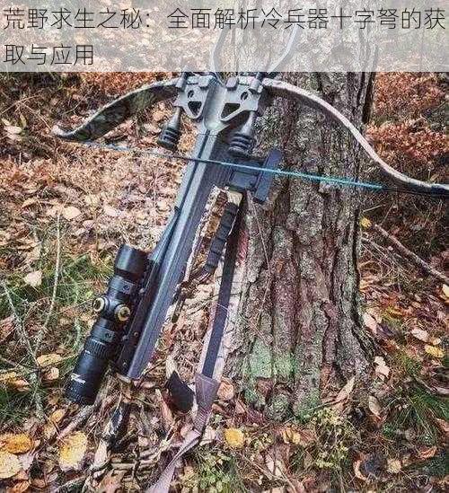 荒野求生之秘：全面解析冷兵器十字弩的获取与应用