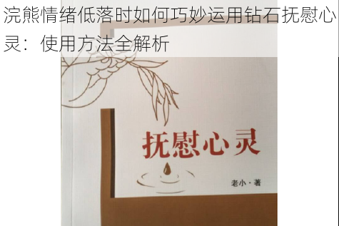 浣熊情绪低落时如何巧妙运用钻石抚慰心灵：使用方法全解析