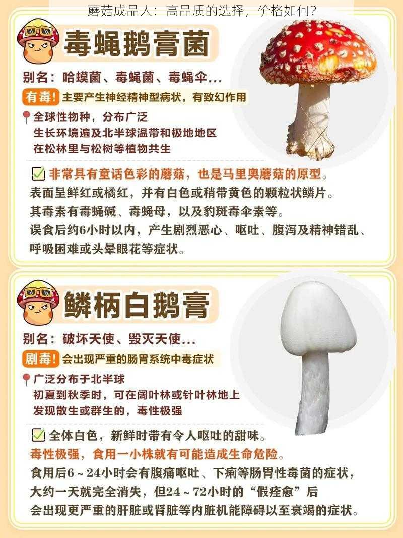 蘑菇成品人：高品质的选择，价格如何？