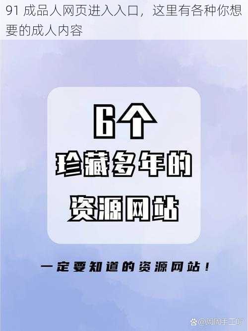 91 成品人网页进入入口，这里有各种你想要的成人内容